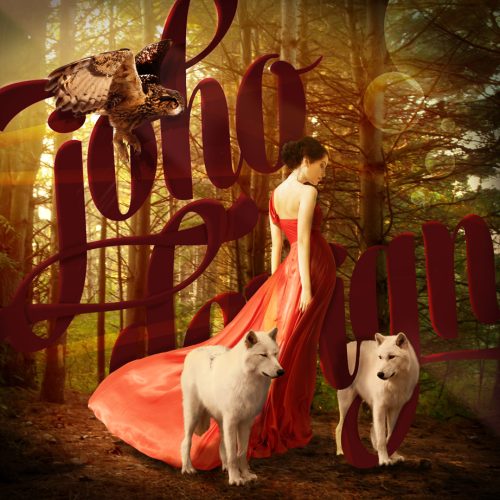 RED RIDING DRESS